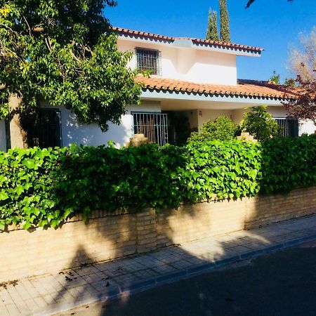 Villa Ferrer Sevilla Ginés エクステリア 写真