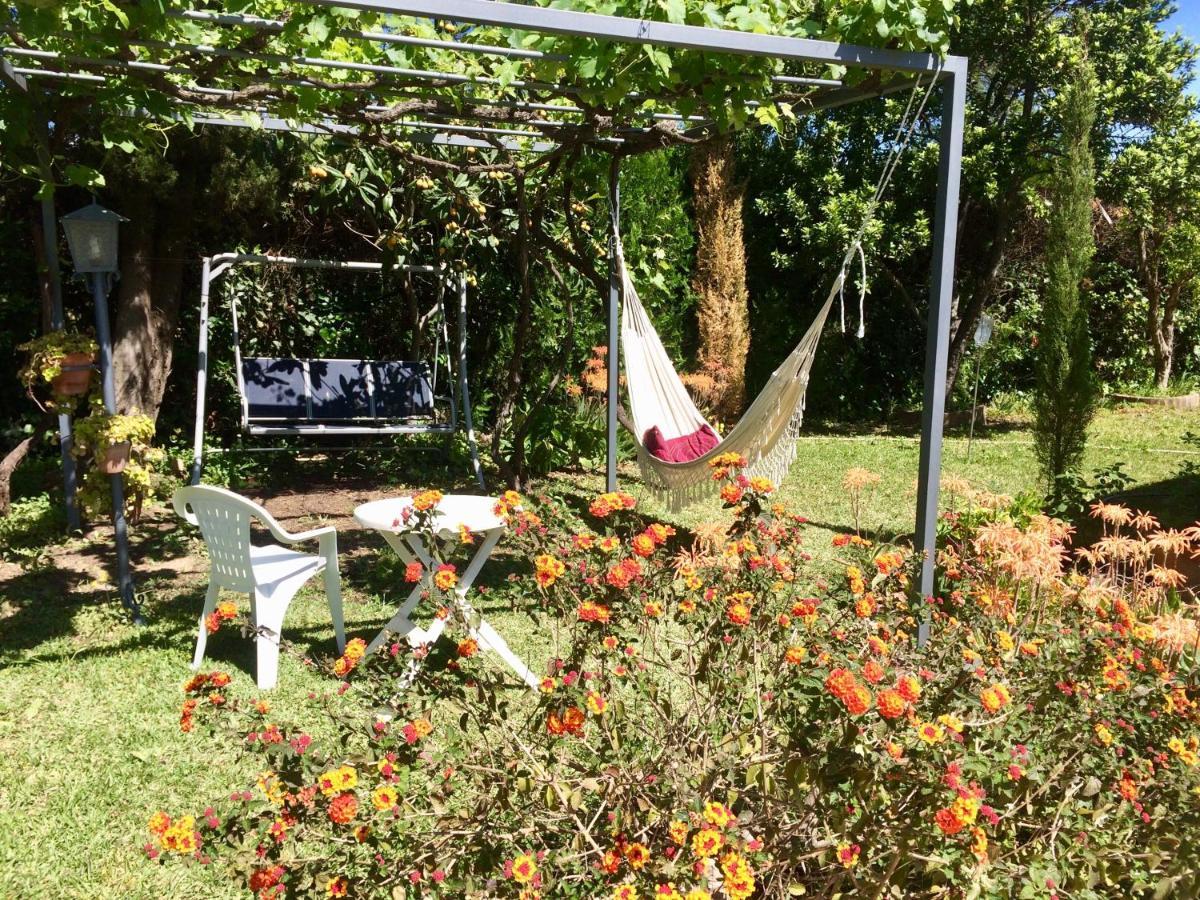 Villa Ferrer Sevilla Ginés エクステリア 写真