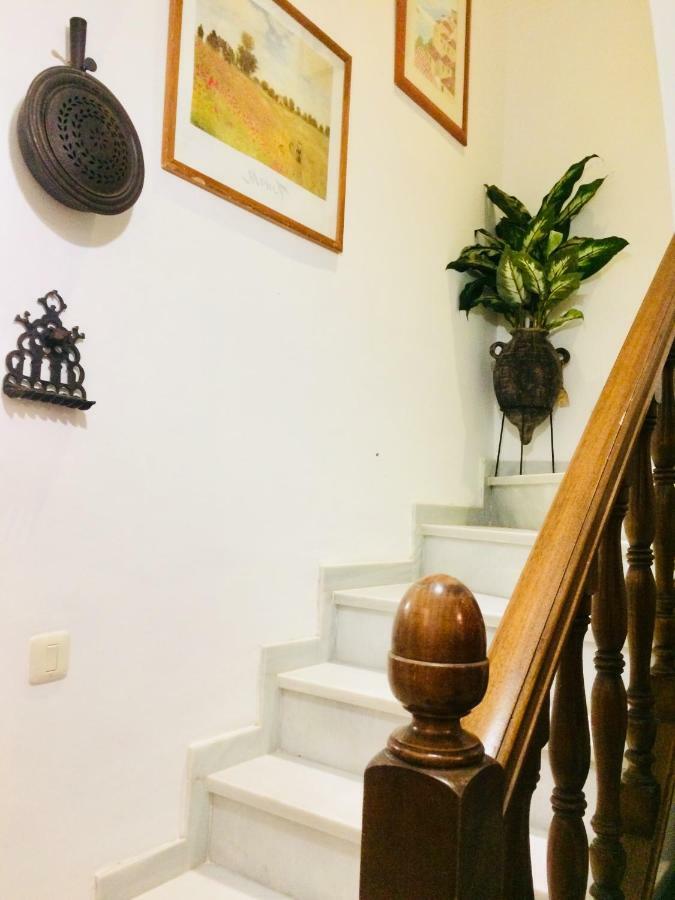 Villa Ferrer Sevilla Ginés エクステリア 写真